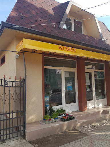 Florăria Decoflora