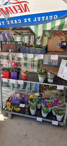 EdiSebi Market