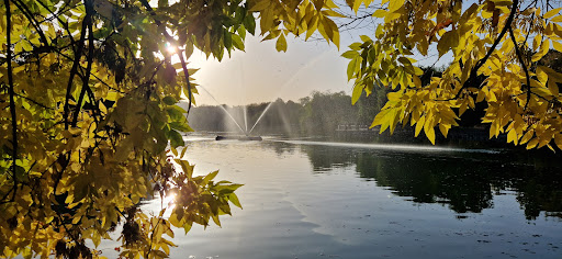 Dunărea