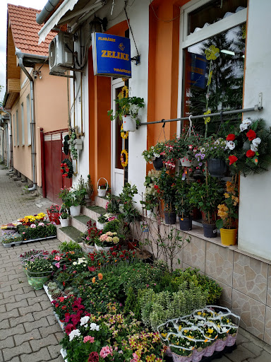 Florăria Zelike