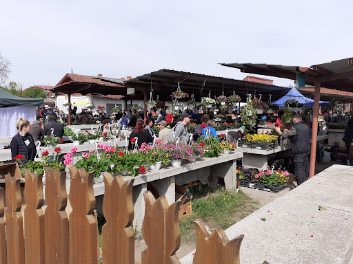 Piața Agroalimentară Covasna