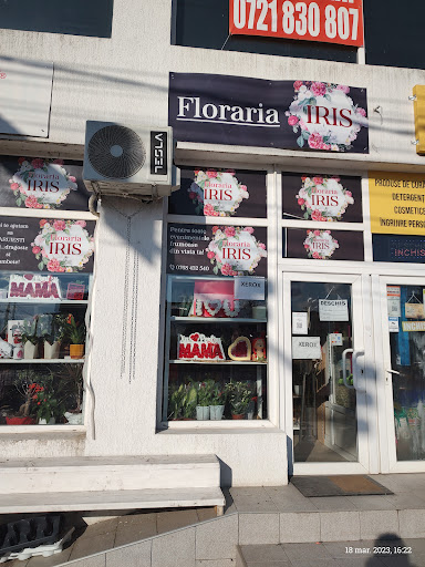 Floraria Iris Filiași
