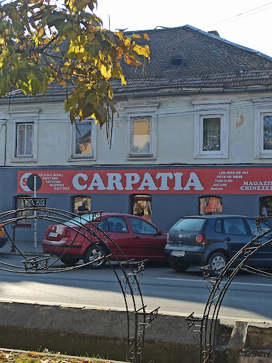 S8 Carpatia Magazin Chinezesc