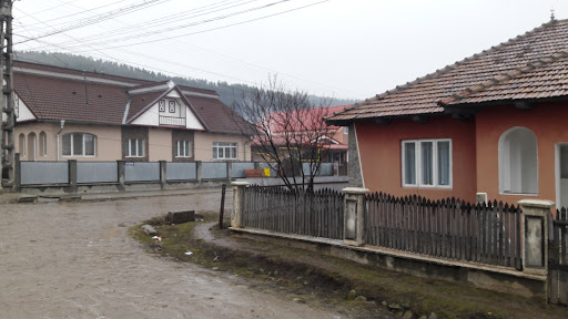 Unguru