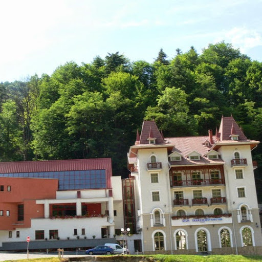 Vila Teleconstrucția