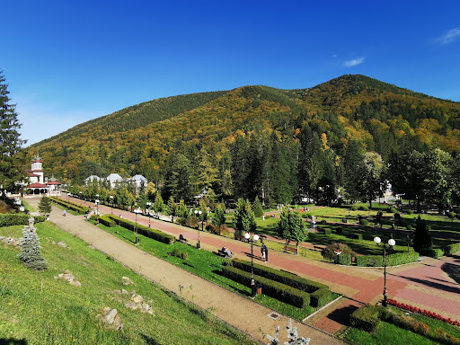 Parcul Central
