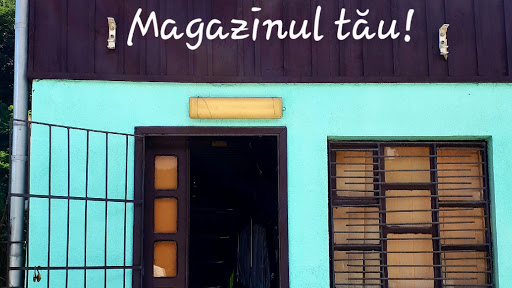 Magazinul tău